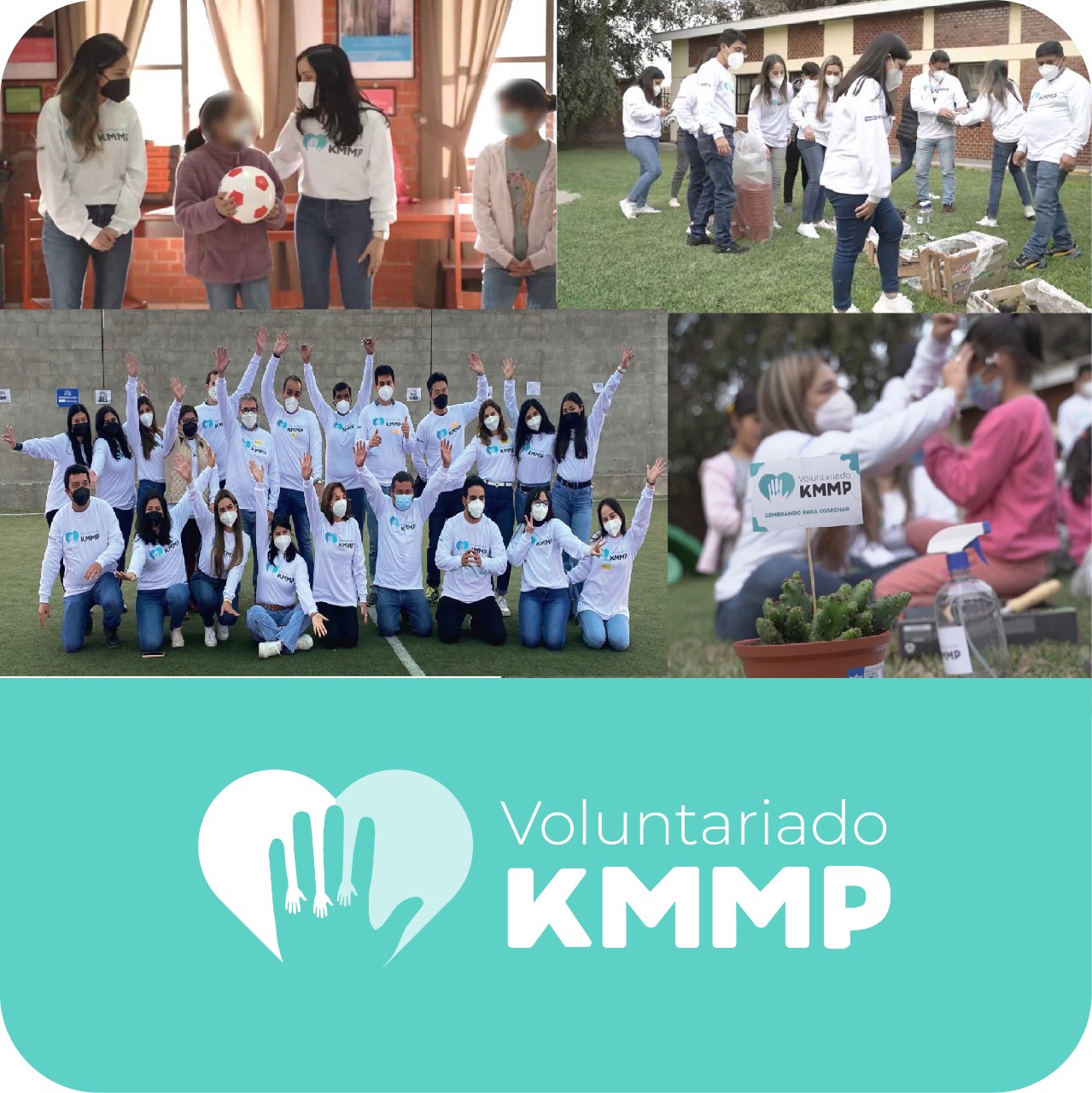 Programa de Voluntariado KMMP
