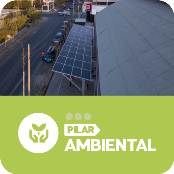 Pilar Ambiental